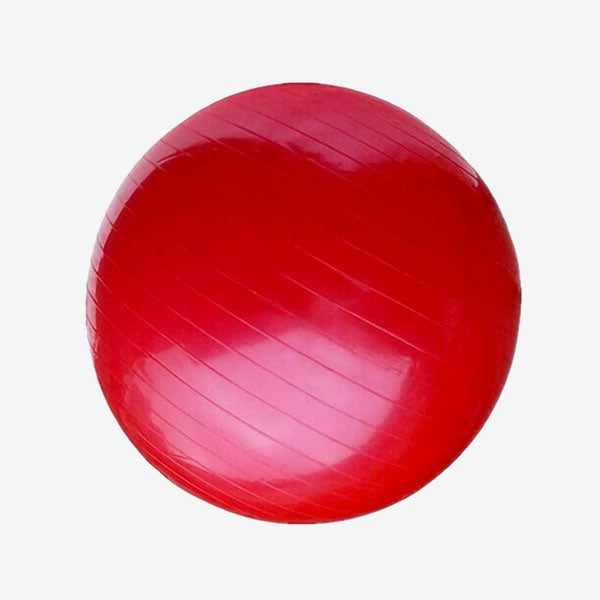 Emoly Exercise Ball for Yoga